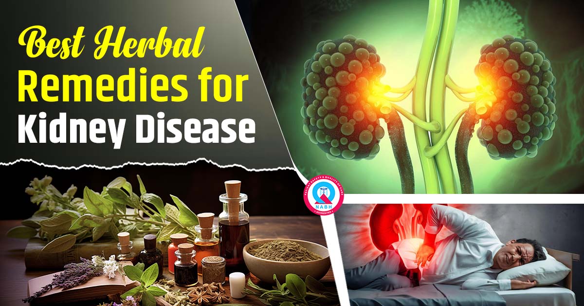best-herbal-remedies-for-kidney-disease